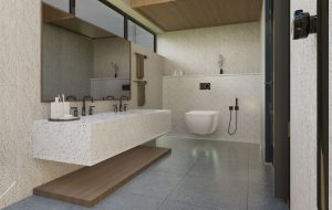 WC suspendu